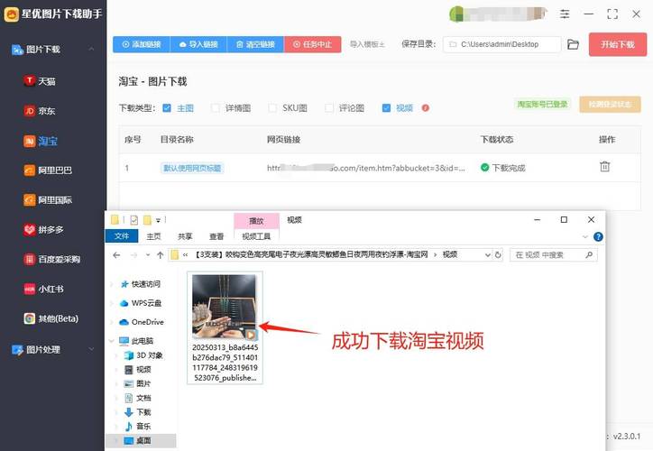 我要打飞网站免费视频