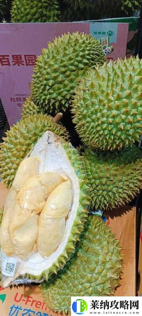 ll999榴莲绿巨人