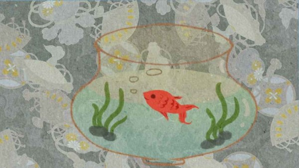 鱼悠悠养成计划最新版