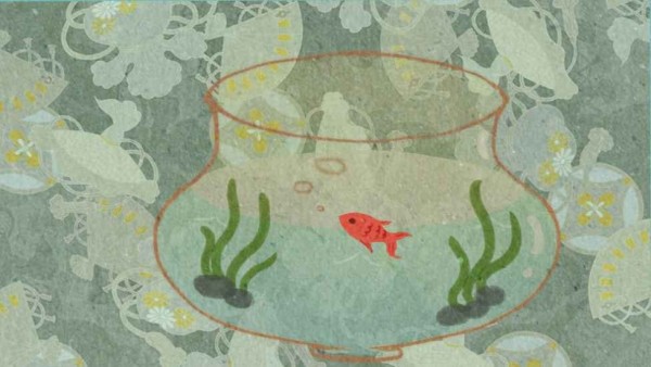 鱼悠悠养成计划最新版