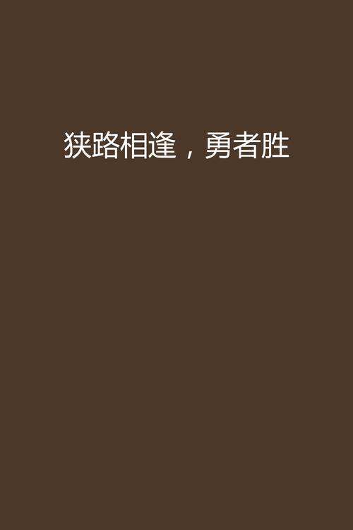 狭路相逢txt