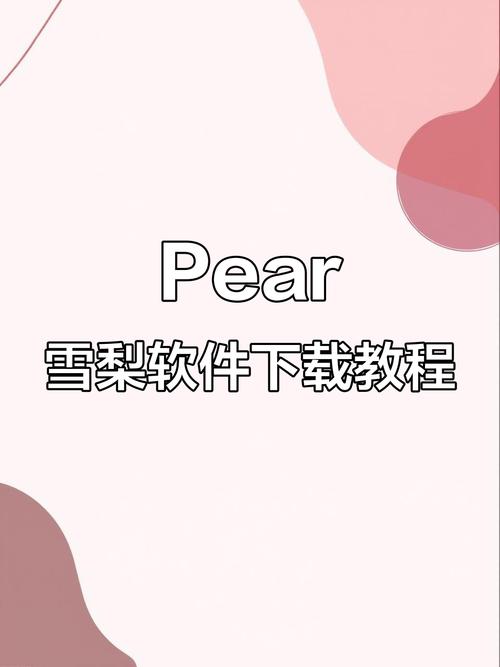 pear雪梨testflight版