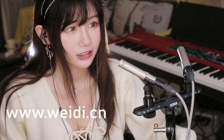 bbox撕裂bass后门BD