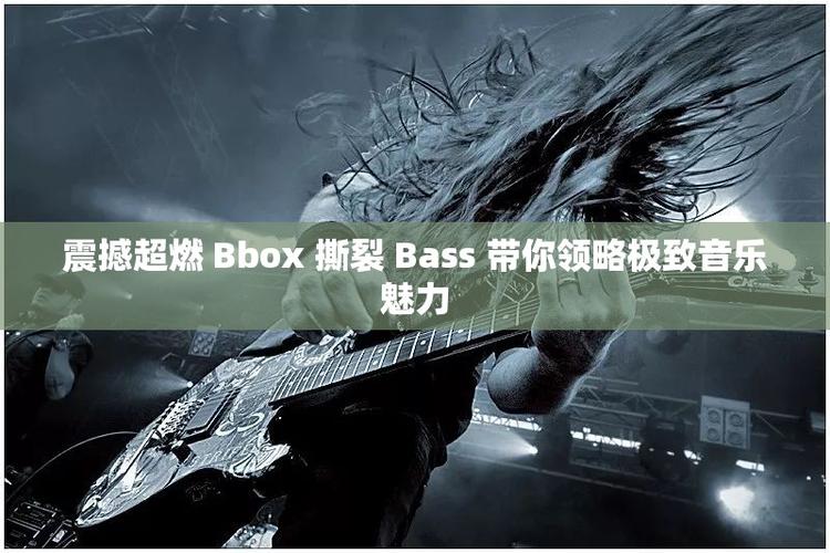 bbox撕裂bass后门BD