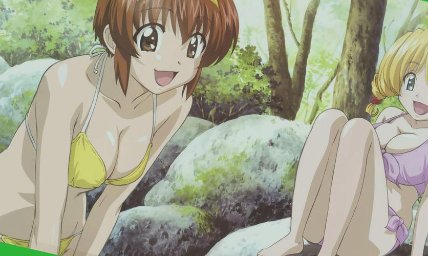 野花日本大全免费观看3中文福利版