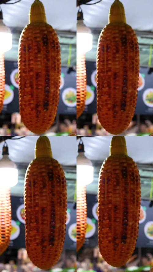 大玉米传媒玉米视频