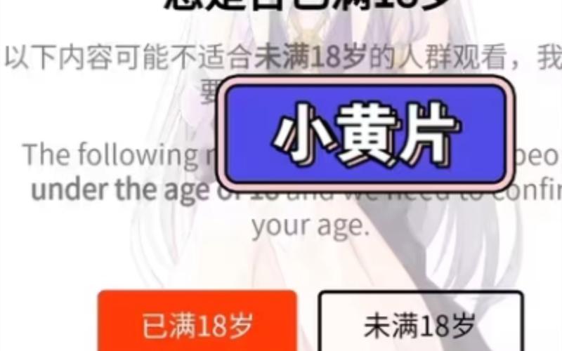 菲菲影院未满十八禁止