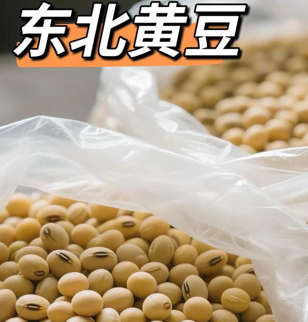 黄豆视频 黄豆精品 黄豆库