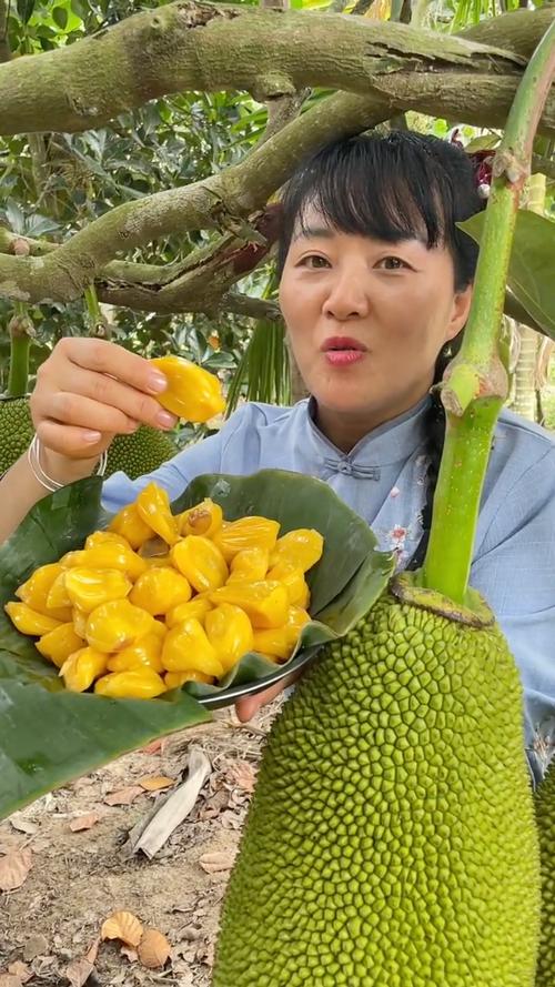 菠萝菠萝蜜免费高清视频