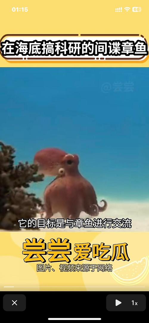 章鱼视频无限看