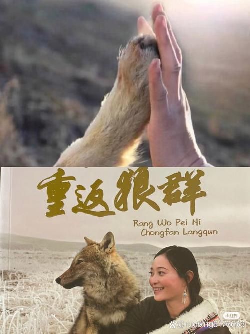 狼群在线手机免费观看