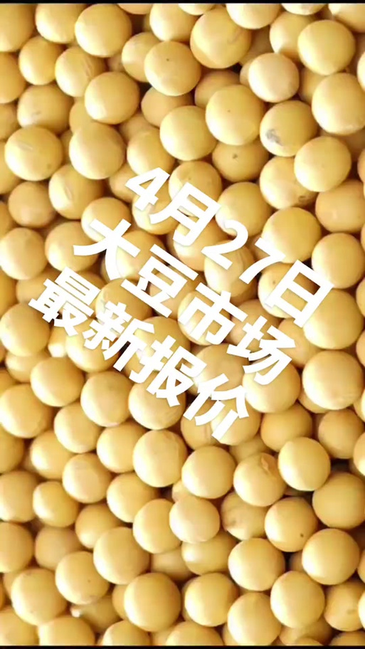 japonensisjava成熟大豆行情