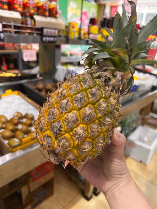 大菠萝五年沉淀只做精品