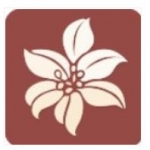 300百合会2021最新