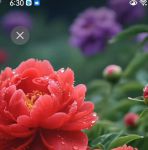 国色天香在线视频