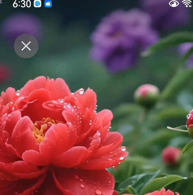 国色天香在线视频