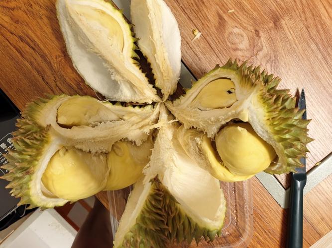 榴莲视频ios下载ios流连忘返免费版