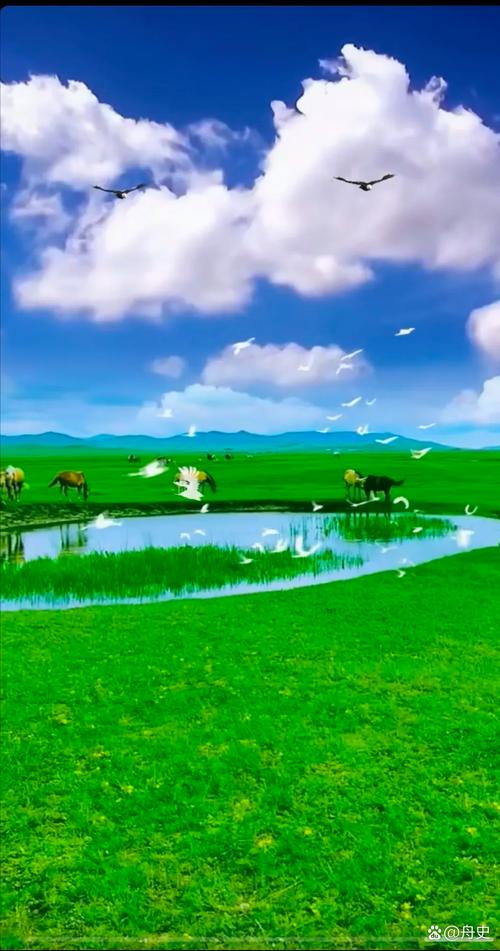 青春草原精品资源视频网站