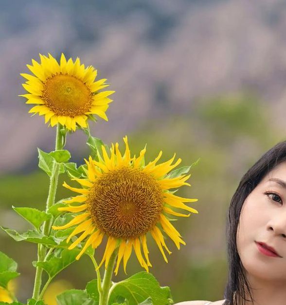 草莓榴莲向日葵18岁站长推荐