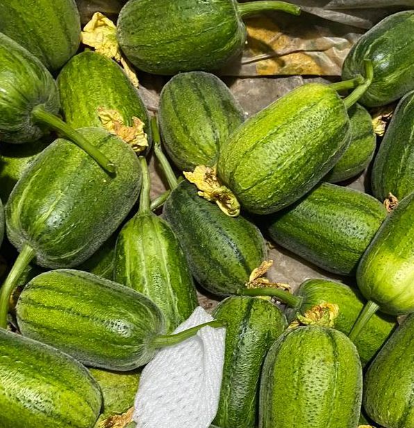 草莓苹果香蕉荔枝丝瓜大全免费