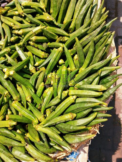 秋葵绿巨人下载在线