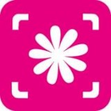 植物拍照识别官网版