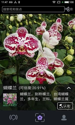 植物拍照识别官网版