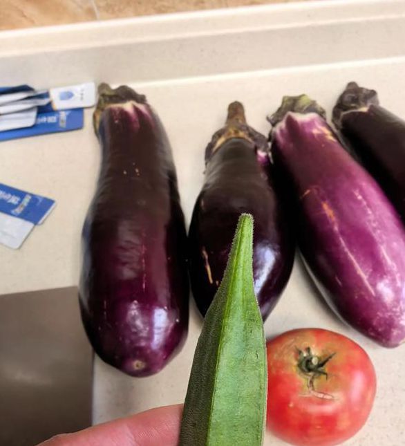 秋葵 茄子 丝瓜 香草 榴莲下载安装