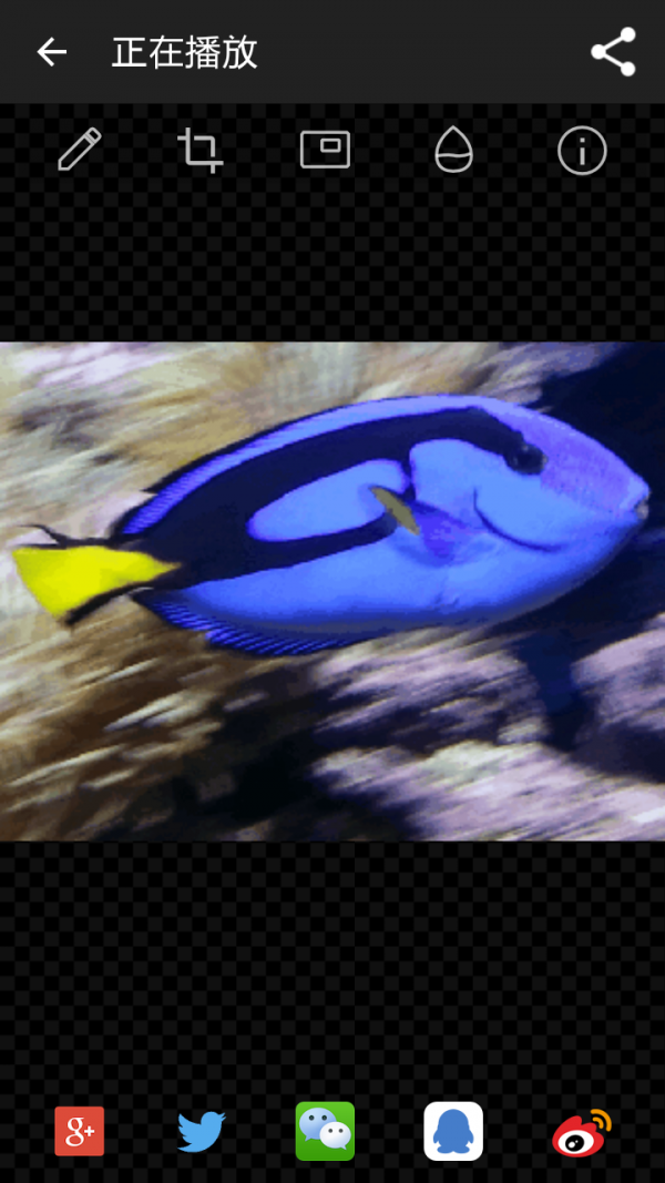 GIF工作室手机版