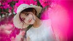 何处飞花txt下载