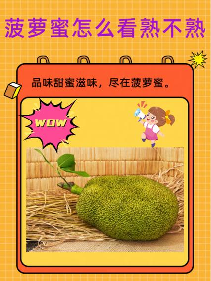 菠萝菠萝蜜无删减3bd