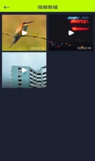 白羊视频官方版