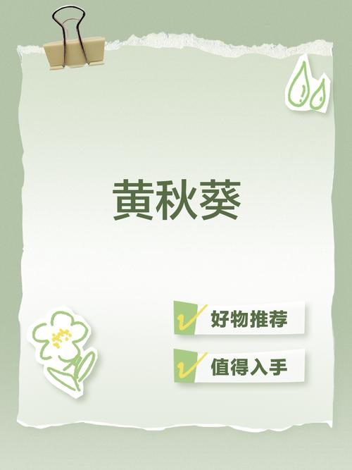 秋葵安卓app免费下载