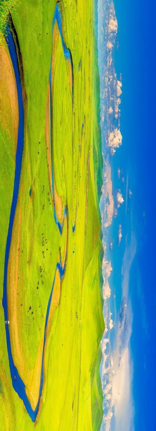 国国内清清草原免费视频99