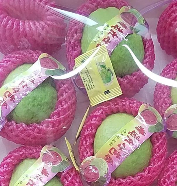 草莓丝瓜樱桃小蝌蚪榴莲芭乐最新版