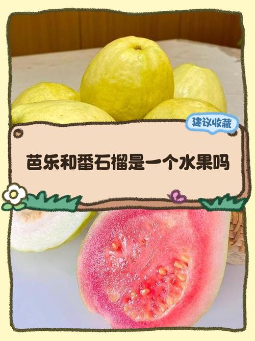 草莓丝瓜樱桃小蝌蚪榴莲芭乐最新版