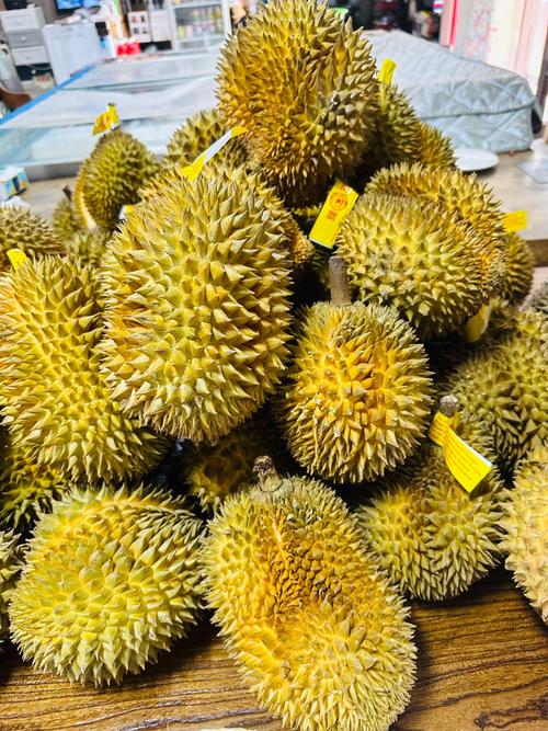 ll999榴莲aplaceholder免费最新下载安装