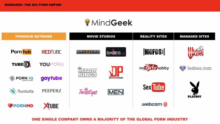 欧美成人最大在线网站