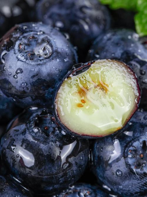 蓝莓视频免费版