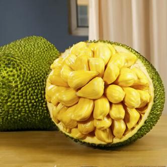 菠萝蜜在线成人