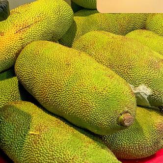 菠萝蜜在线成人