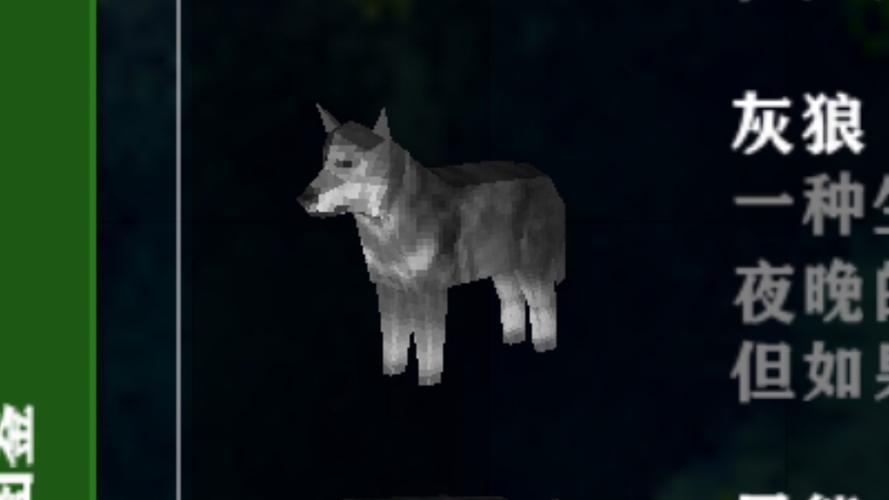 灰狼视频每天五次版