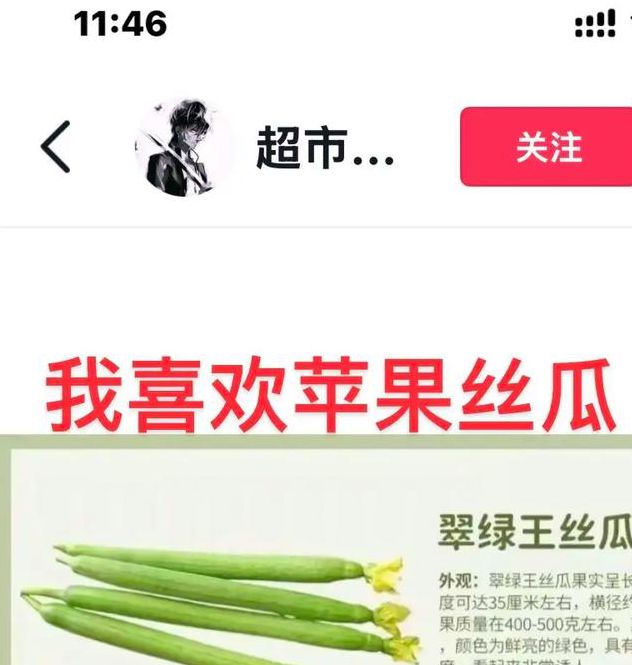 草莓苹果香蕉荔枝丝瓜榴莲鸭脖