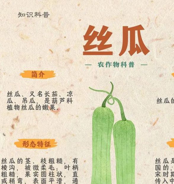 丝瓜黄瓜草莓向日葵秋葵榴莲污大全