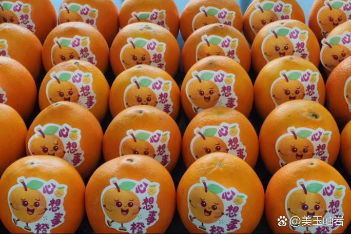 橙子直播大厅入口