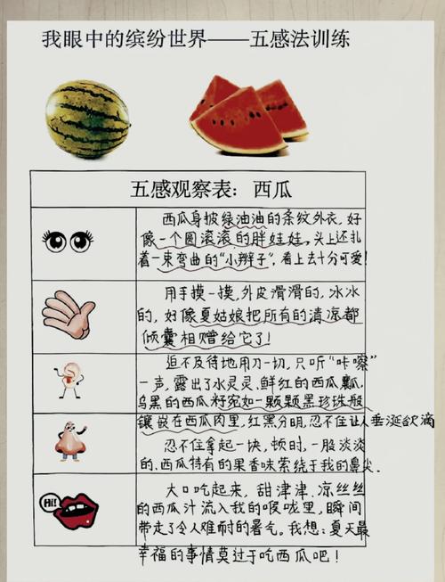 向日葵香蕉茄子丝瓜草莓小猪