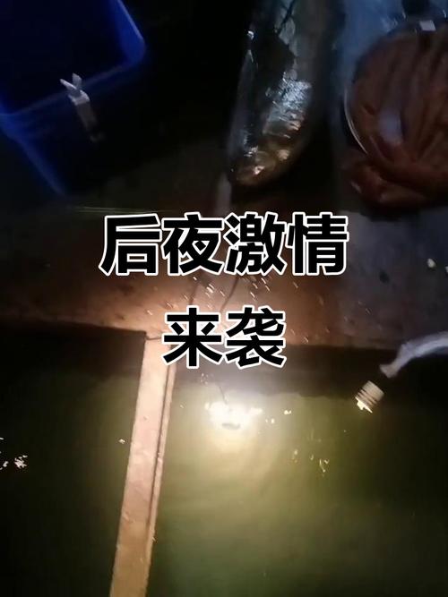 开车视频晚上污痛痛