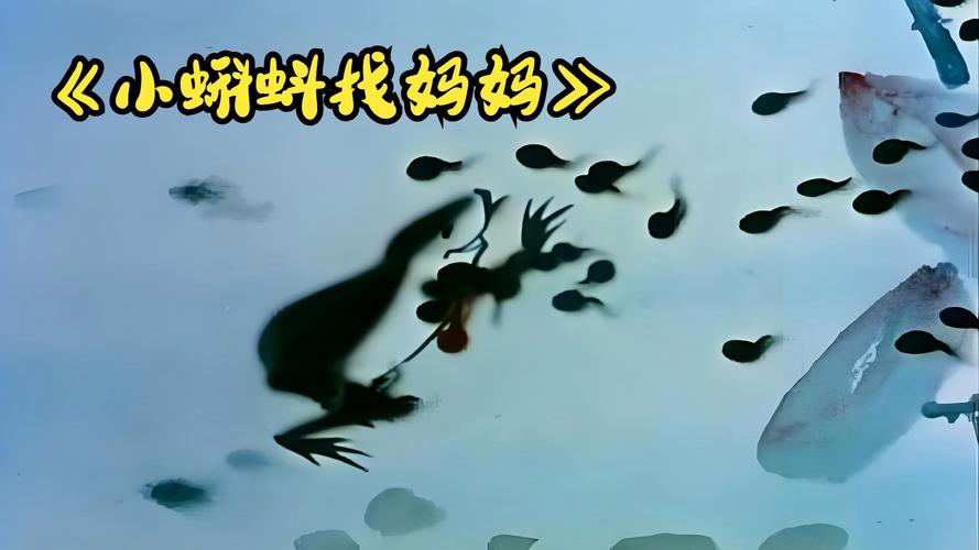 小蝌蚪视频免费版在线下载观看