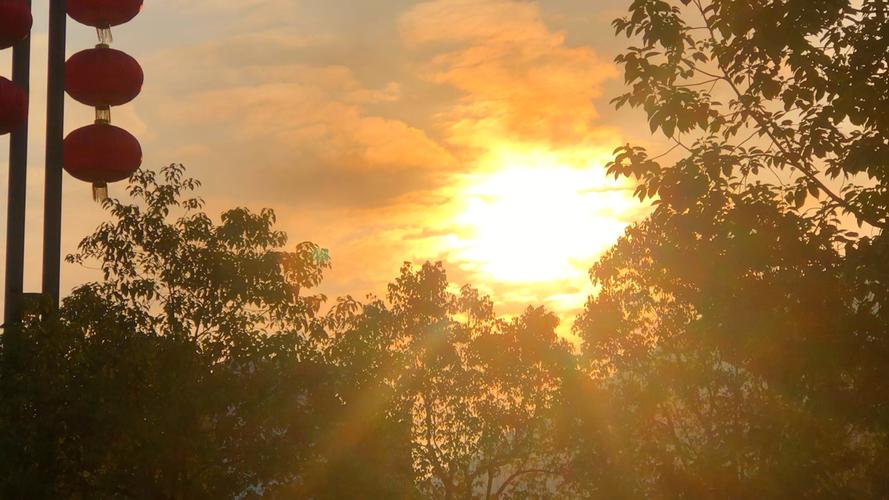 清晨视频免费观看