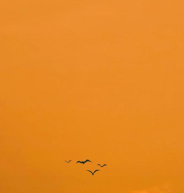 清晨视频免费观看